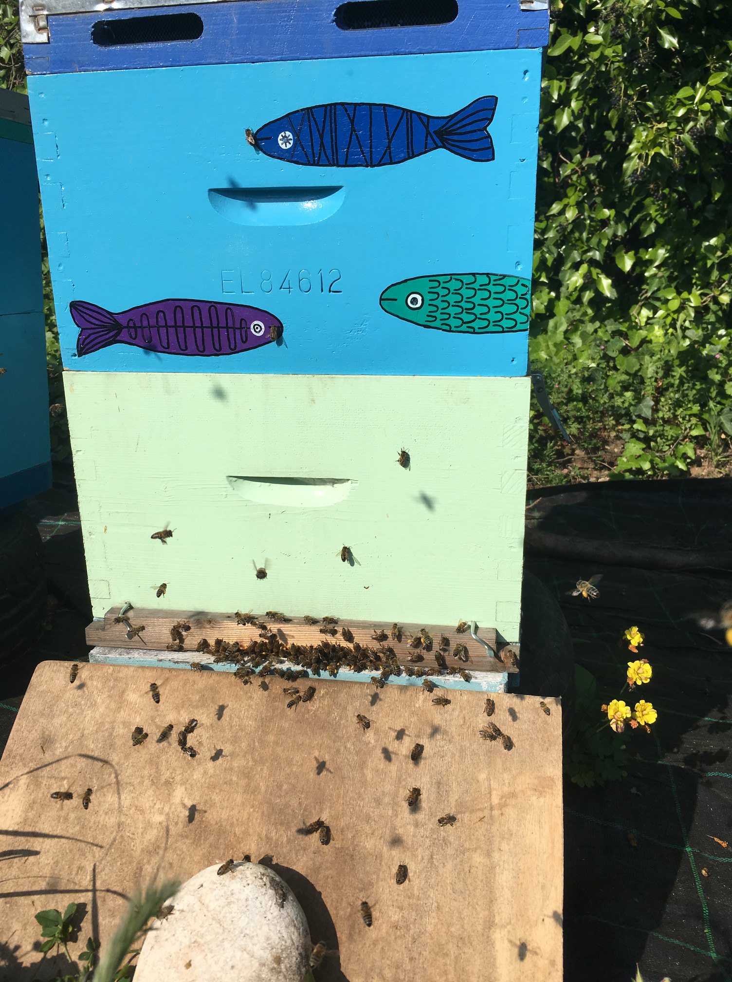 bee-philosophy.com Agios Konstantinos Samos